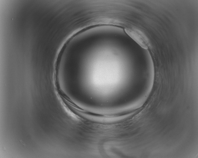 X0000073831136200608101156