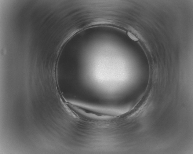 X0000073831137200608101156