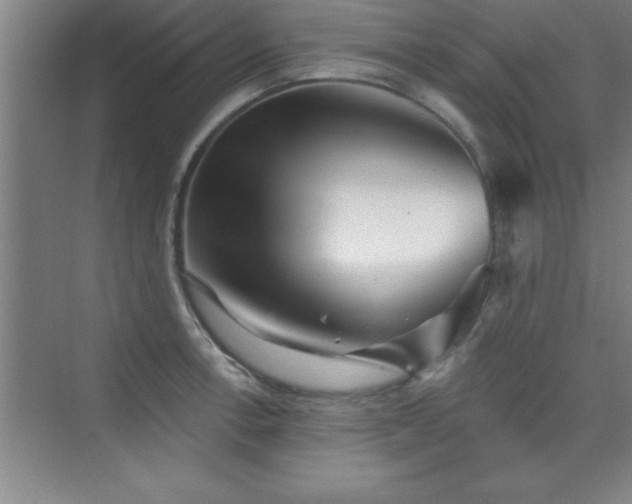 X0000073831138200608101156