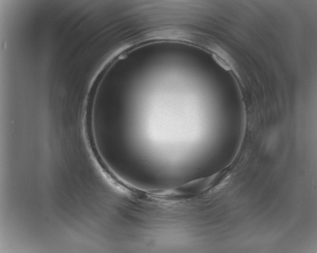 X0000073831139200608101156