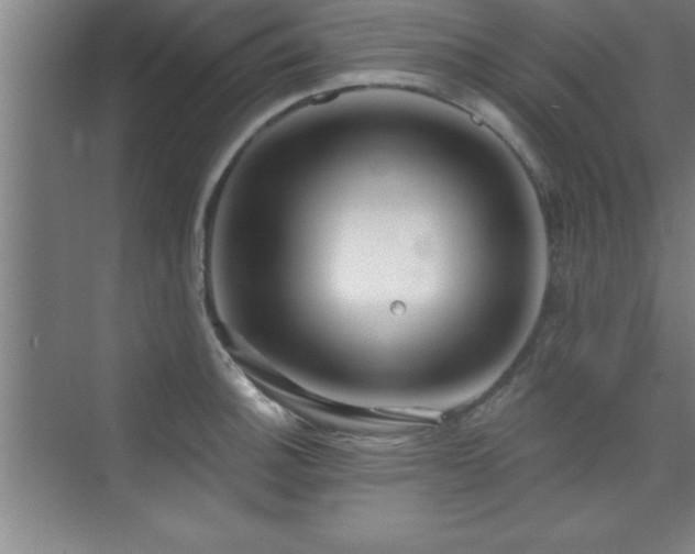 X0000073831140200608101156