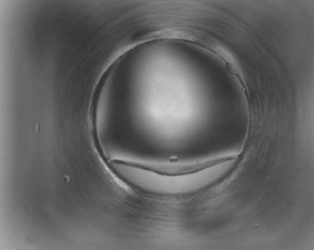 X0000073831141200608101156