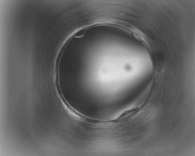 X0000073831143200608101157