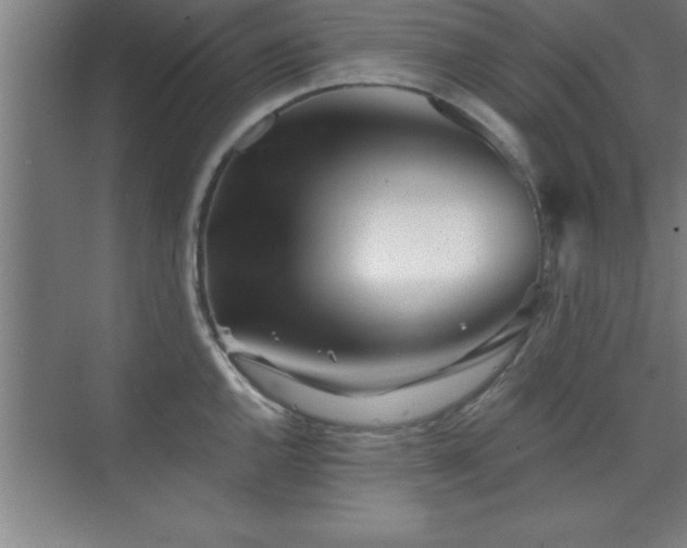 X0000073831144200608101157