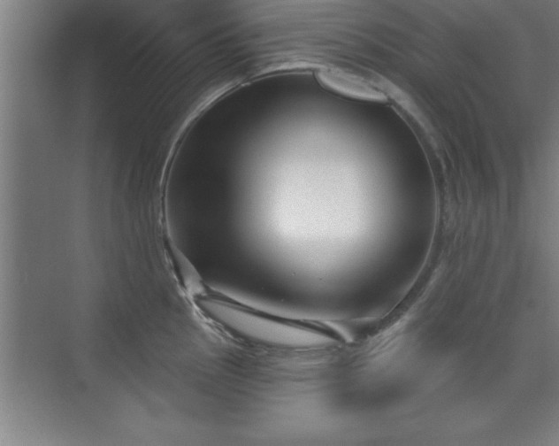 X0000073831145200608101157