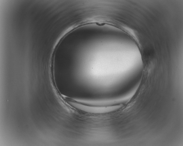 X0000073831146200608101157