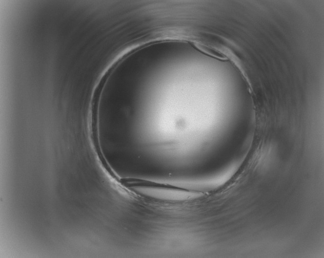 X0000073831147200608101157