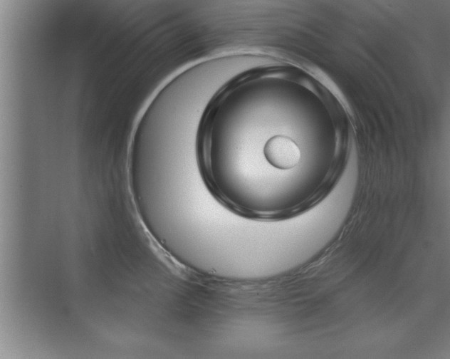 X0000073831148200608101157