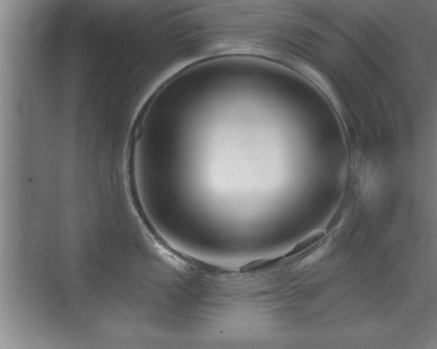 X0000073831149200608101157