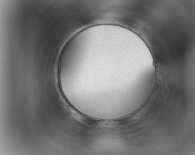 X0000073831150200608101157