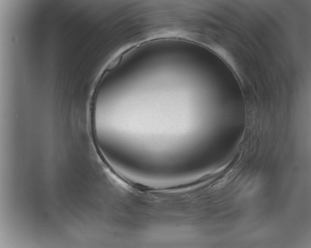 X0000073831151200608101157