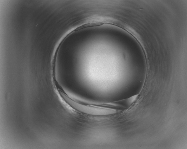 X0000073831152200608101157