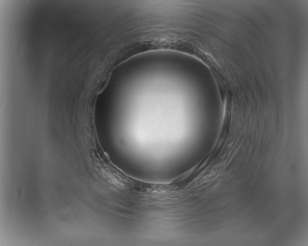 X0000073831153200608101156