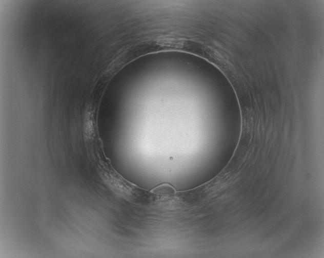 X0000073831154200608101156