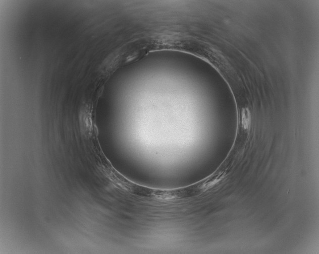 X0000073831155200608101156