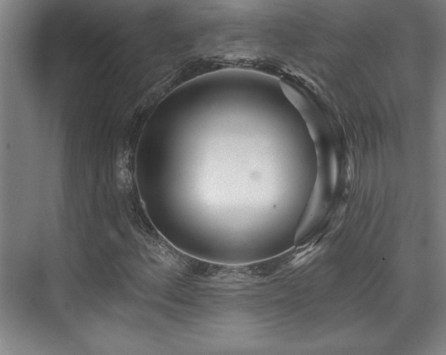 X0000073831156200608101156