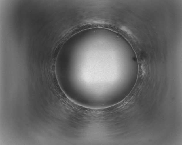 X0000073831157200608101156