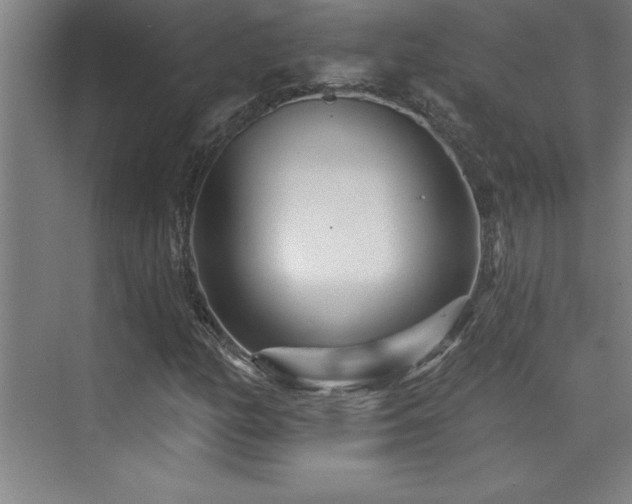 X0000073831158200608101156