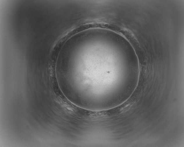 X0000073831159200608101156