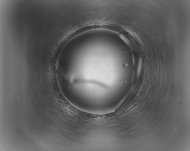 X0000073831160200608101156