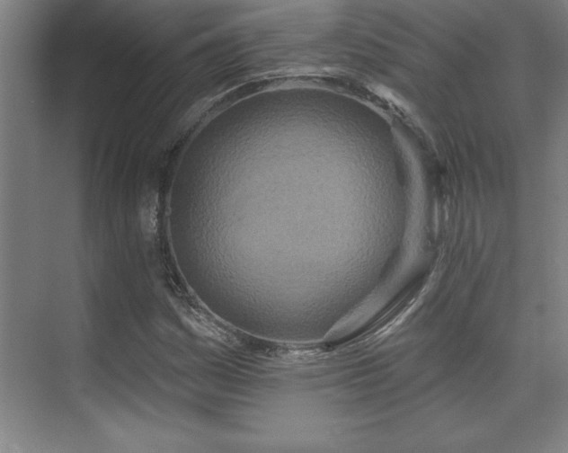 X0000073831161200608101156