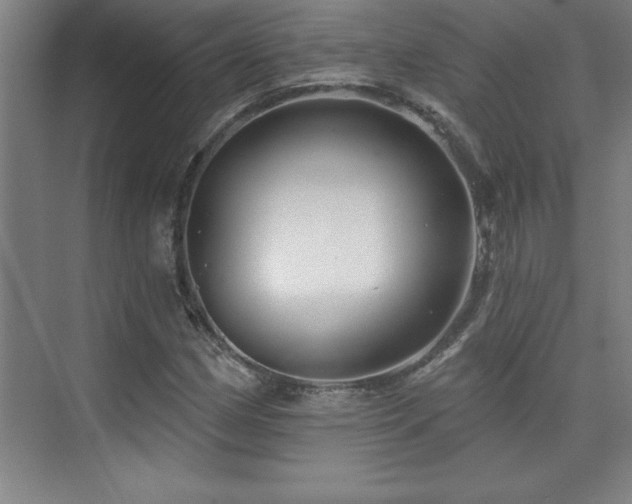 X0000073831162200608101156