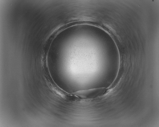 X0000073831163200608101156