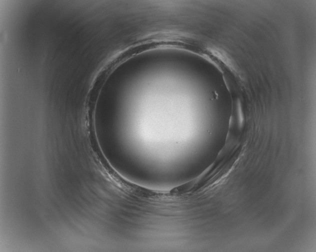 X0000073831164200608101156