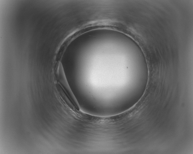 X0000073831166200608101156