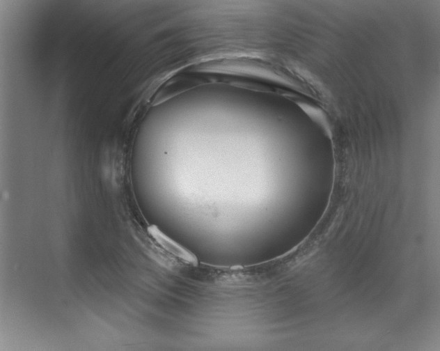 X0000073831169200608101156