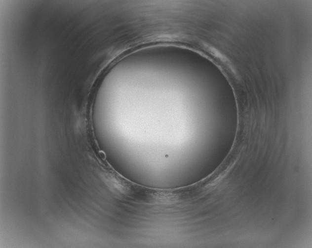 X0000073831170200608101156