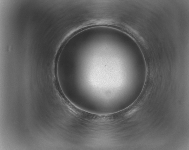 X0000073831174200608101155