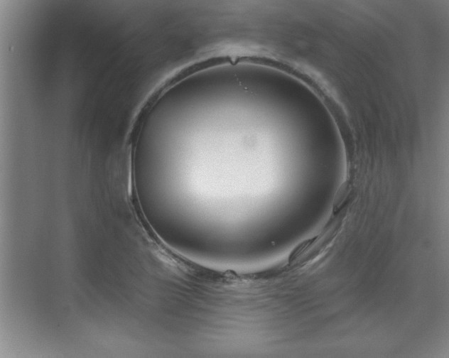 X0000073831175200608101155