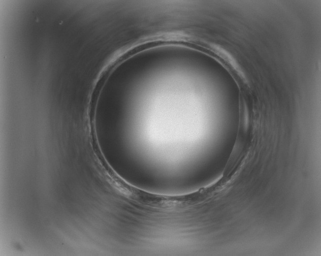 X0000073831176200608101155