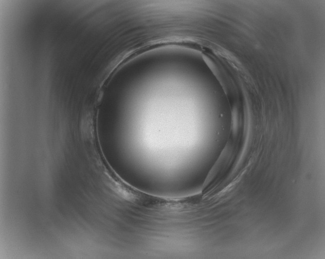 X0000073831177200608101155