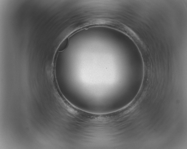 X0000073831178200608101155