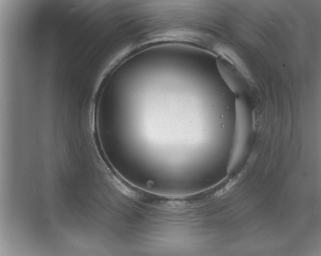 X0000073831180200608101155