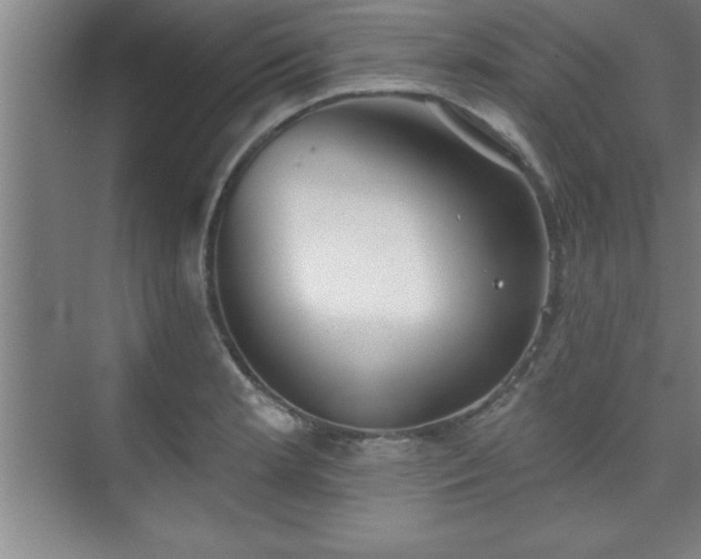 X0000073831181200608101155