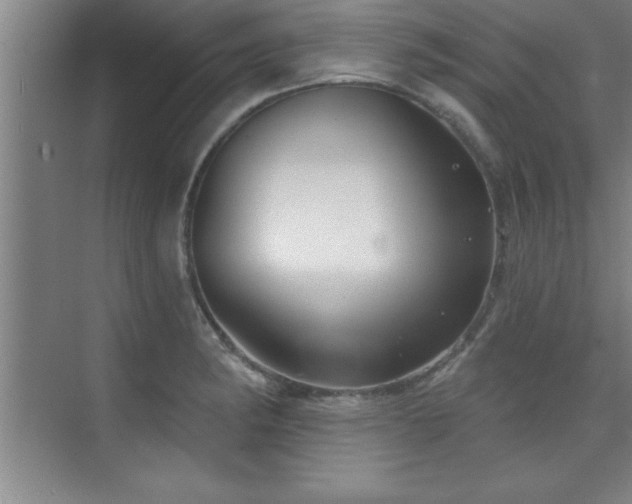 X0000073831182200608101155