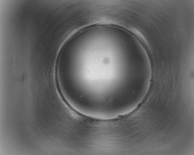 X0000073831183200608101155