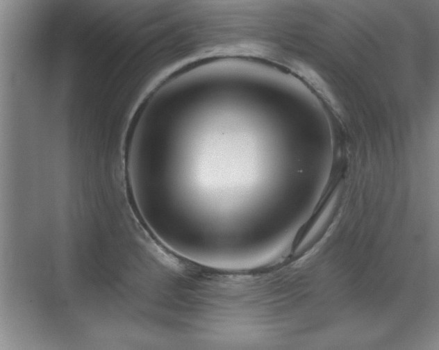 X0000073831184200608101155