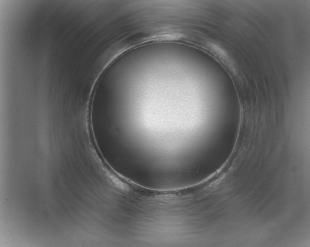 X0000073831186200608101155