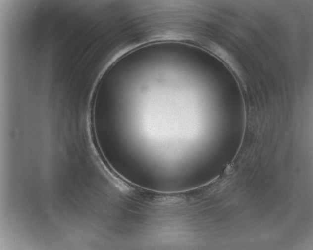 X0000073831187200608101155