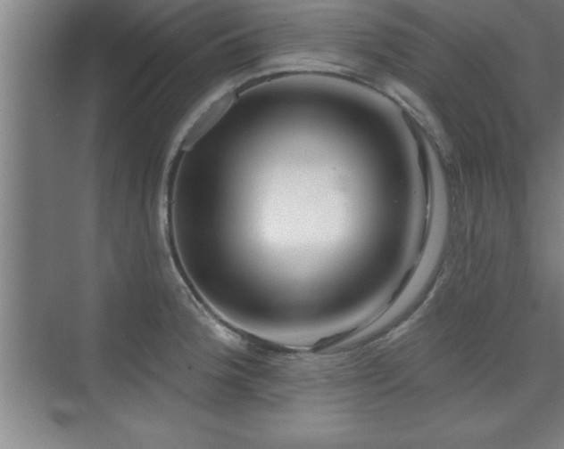 X0000073831188200608101155