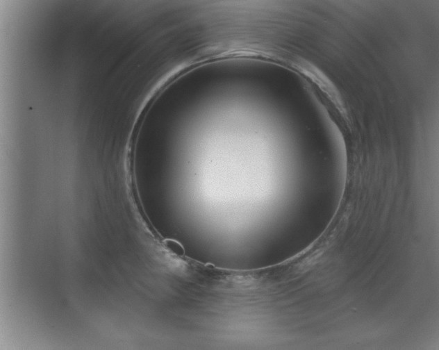 X0000073831190200608101155