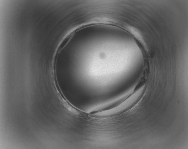 X0000073831192200608101155