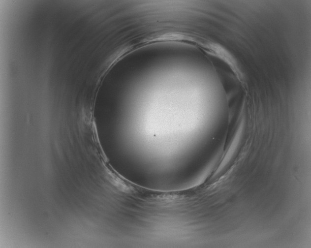 X0000073831193200608101155