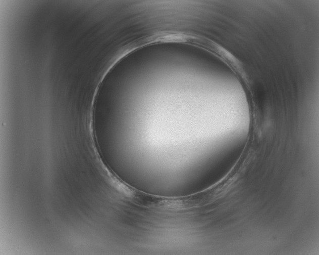 X0000073831194200608101155