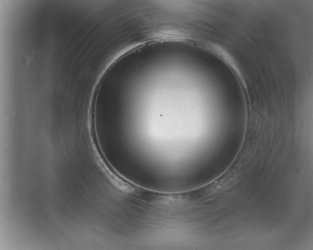 X0000073831195200608101155