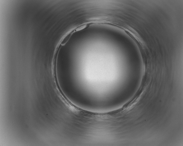 X0000073831196200608101155